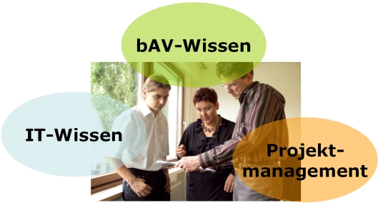 Vittra Prozesse der bAV - bAV-Wissen, IT-Wissen, Projektmanagement Vittra Prozesse der bAV